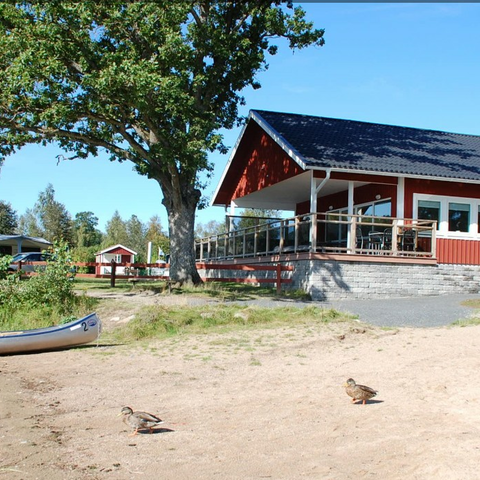 Skarmbild_2025-04-11_091558